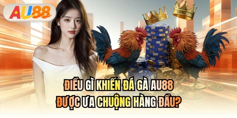 Điều gì khiến Đá gà AU88 được ưa chuộng hàng đầu?